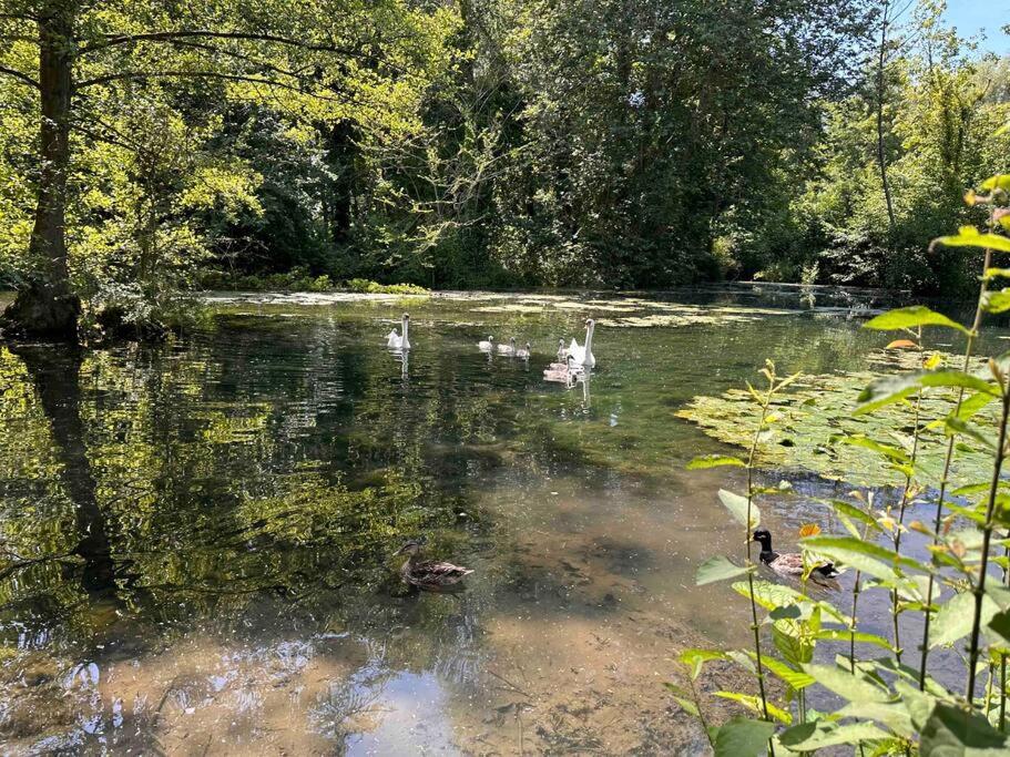 L'Impasse - Au Bord De L'Eau Villa Épagne-Épagnette Exterior foto